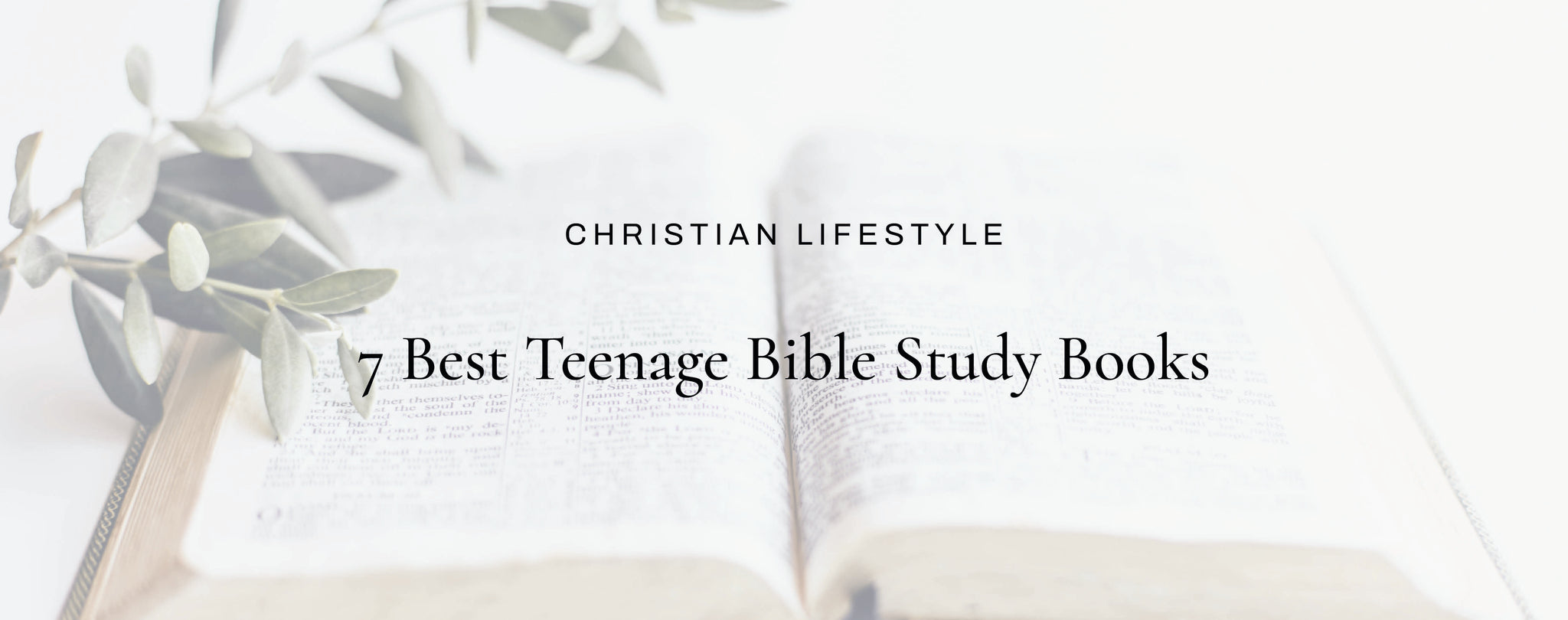 7 Best Teenage Bible Study Books