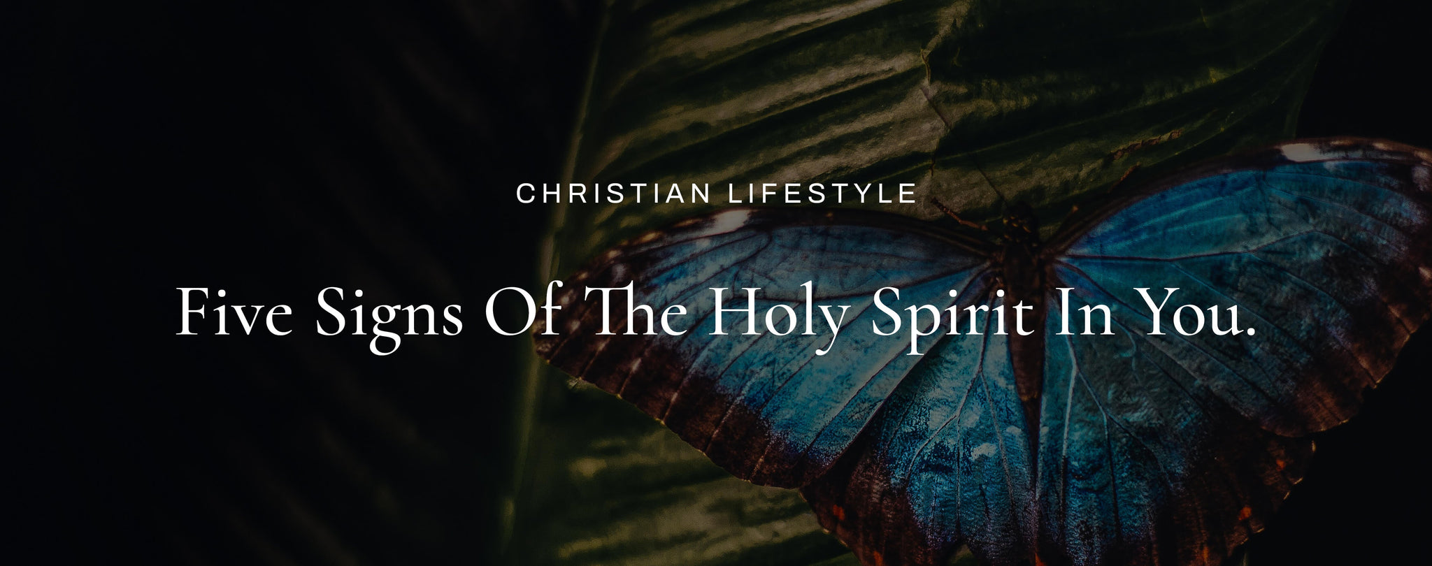 Signs of the Holy Spirit in You