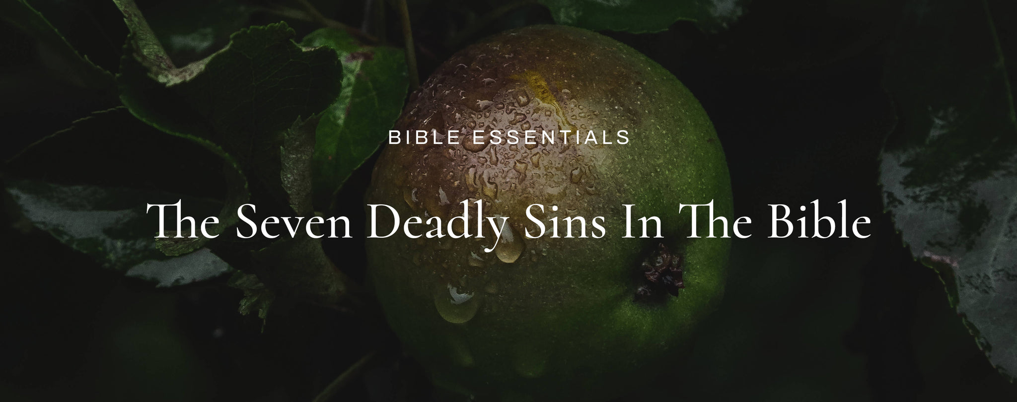 What Are The 7 Deadly Sins In The Bible?