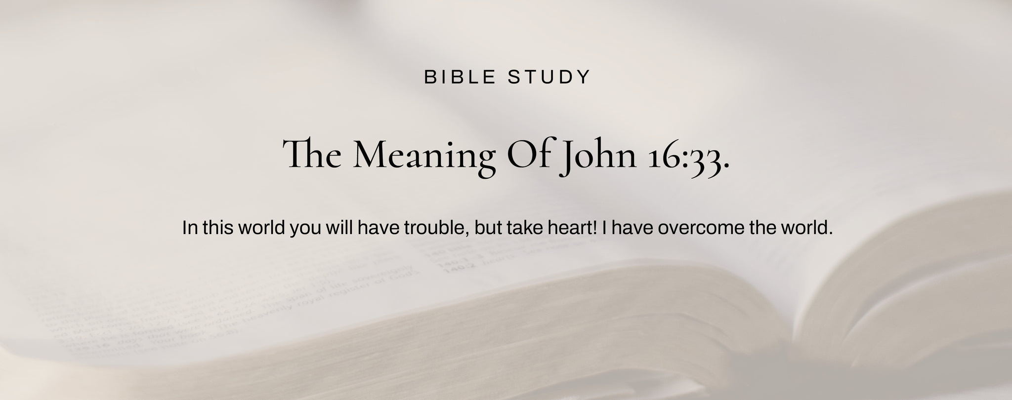 What Does John 16:33 Mean?