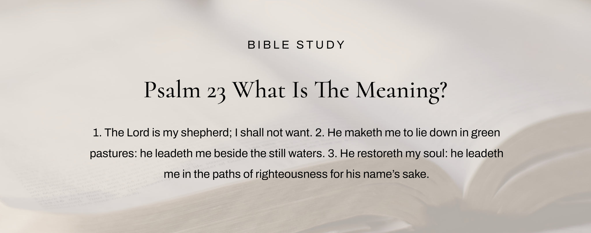 what is the meaning of psalm 23